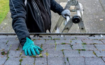 10 astuces pour votre toiture